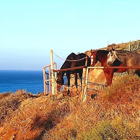 Terrazas De Anaga Natural House Appartement Santa-Cruz de Ténérife