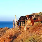 Terrazas De Anaga Natural House 公寓 圣克鲁斯-德特内里费