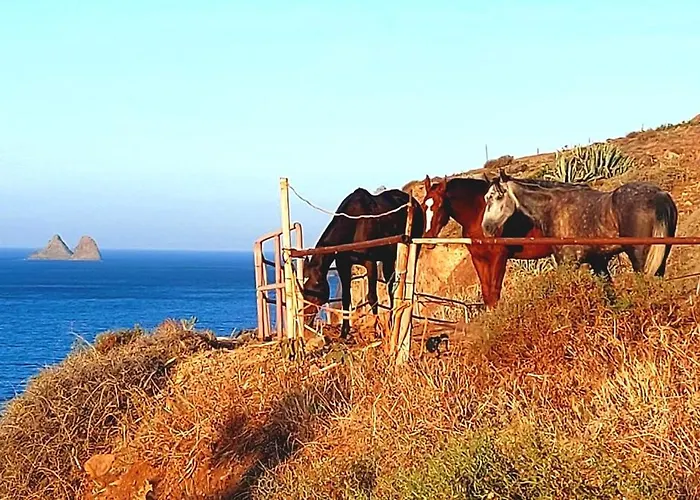 Terrazas De Anaga Natural House דירה סנטה קרוז דה טנריף